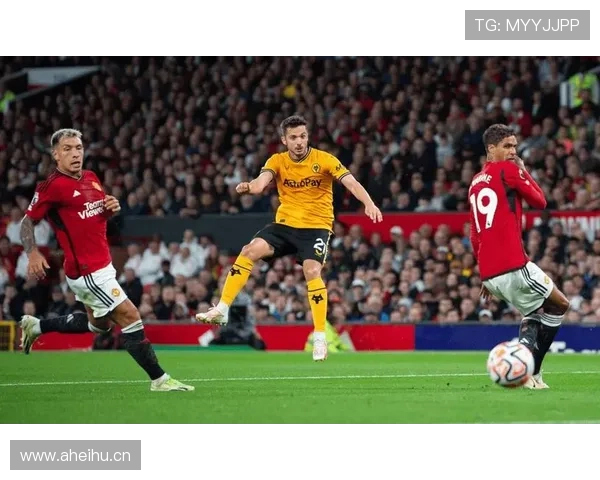 爱德华本赛季英超表现稳健，进攻端持续提升