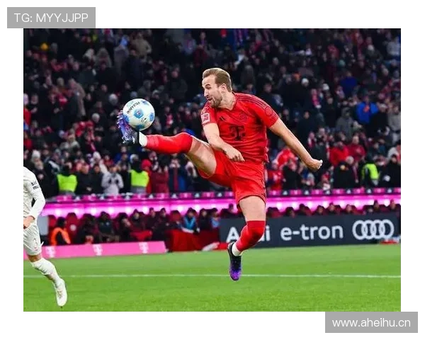 哈里·凯恩慈善基金会 哈里·凯恩慈善基金会